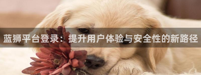 伟德国际1946环保：蓝狮平台登录：提升用户体验与安全性的新路径