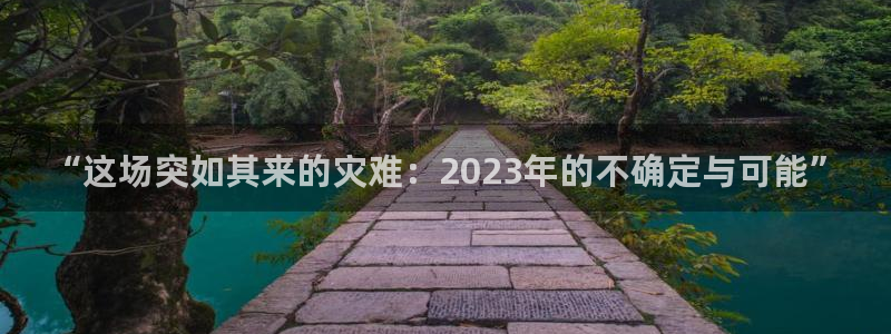 伟德国际19463登陆：“这场突如其来的灾难：2023年的不确定与可能”
