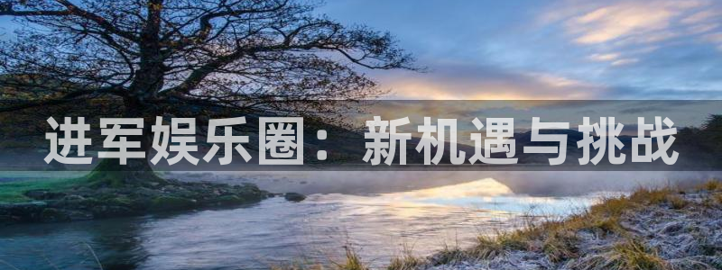 伟德国际1946体育论坛：进军娱乐圈：新机遇与挑战
