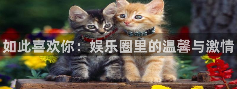 伟德国际1946f平台注册：如此喜欢你：娱乐圈里的温馨与激情