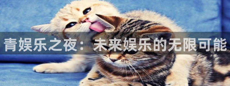福建伟德国际1946机电股份公司：青娱乐之夜：未来娱乐的无限可能