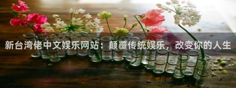成都伟德国际1946电子有限公司：新台湾佬中文娱乐网站：颠覆传统娱乐，改变你的人
