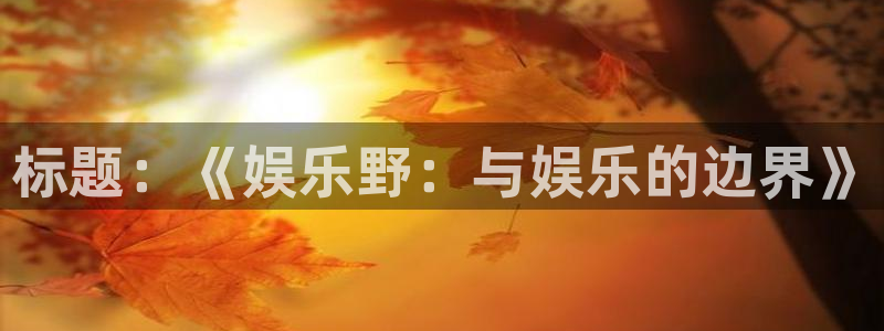 伟德国际1946主管：标题：《娱乐野：与娱乐的边界》
