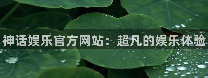 伟德国际19462官网：神话娱乐官方网站：超凡的娱乐体验