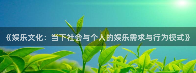 伟德国际1946体育免费注册入口：《娱乐文化：当下社会与个人的娱乐需求与行为模式