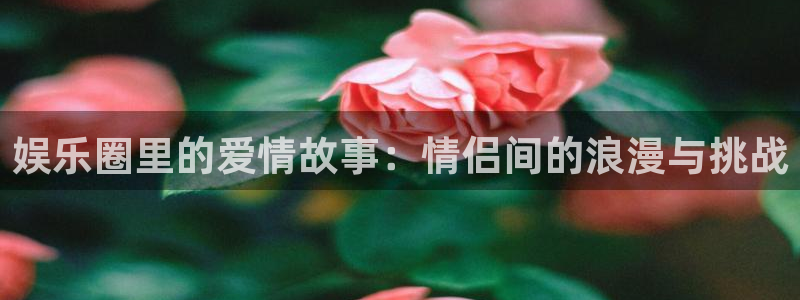 伟德国际1946体育用品：娱乐圈里的爱情故事：情侣间的浪漫与挑战