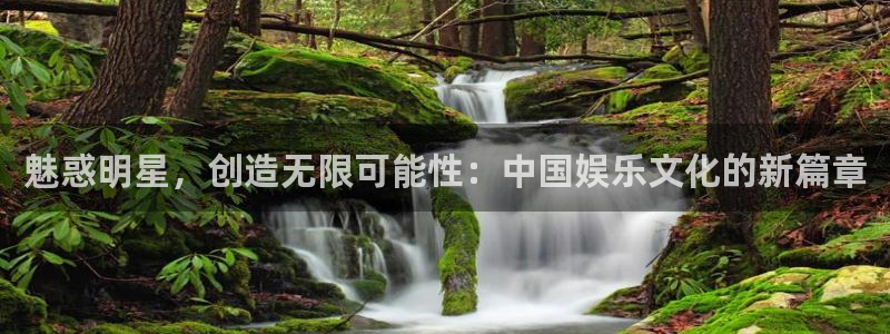 伟德国际1946平台开户链接：魅惑明星，创造无限可能性：中国娱乐文化的新篇章