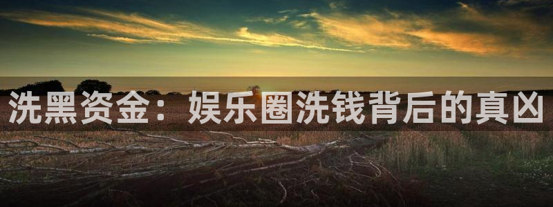 伟德国际1946凯捷平台：洗黑资金：娱乐圈洗钱背后的真凶