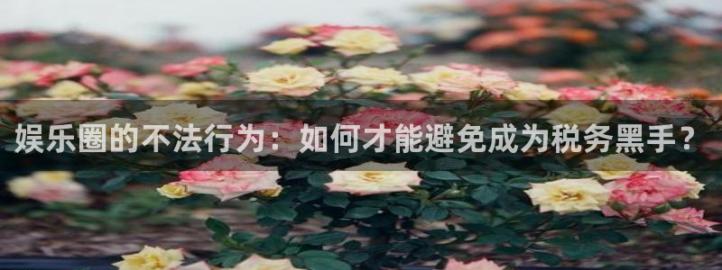 伟德国际19462官网：娱乐圈的不法行为：如何才能避免成为税务黑手？