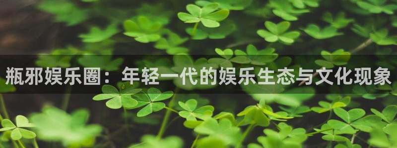 德国伟德国际1946集团：瓶邪娱乐圈：年轻一代的娱乐生态与文化现象