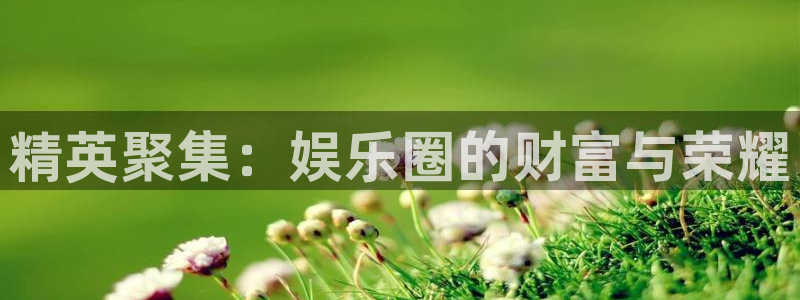 伟德国际19462登录：精英聚集：娱乐圈的财富与荣耀