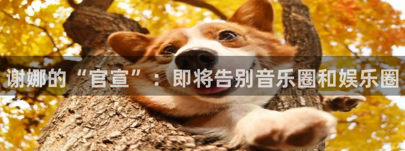 伟德国际1946体育合法嘛：谢娜的“官宣”：即将告别音乐圈和娱乐圈