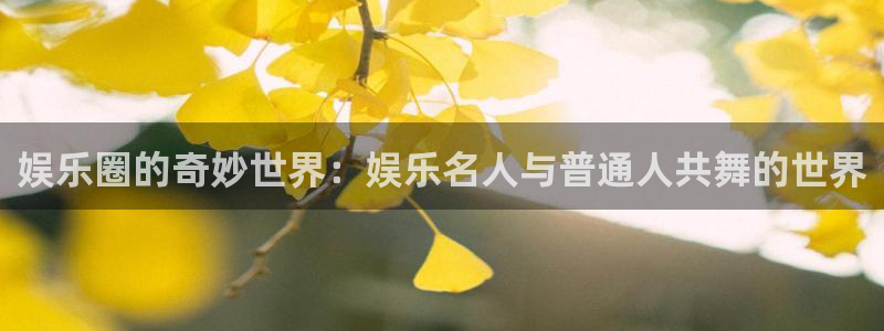 伟德国际1946体育论坛：娱乐圈的奇妙世界：娱乐名人与普通人共舞的世界